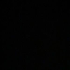 Meet your Posher, Carson